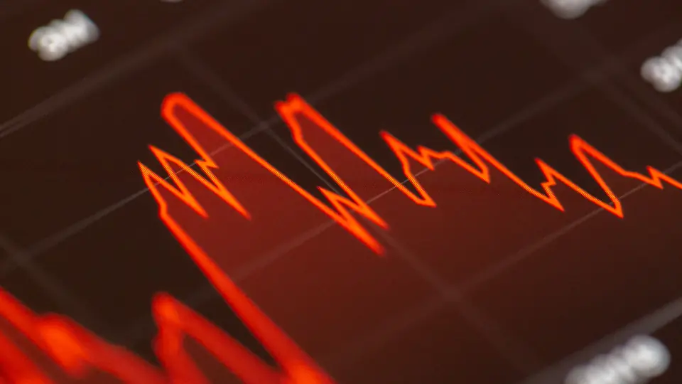 Ekranda kırmızı çizgiyle gösterilen dalgalı bir grafik